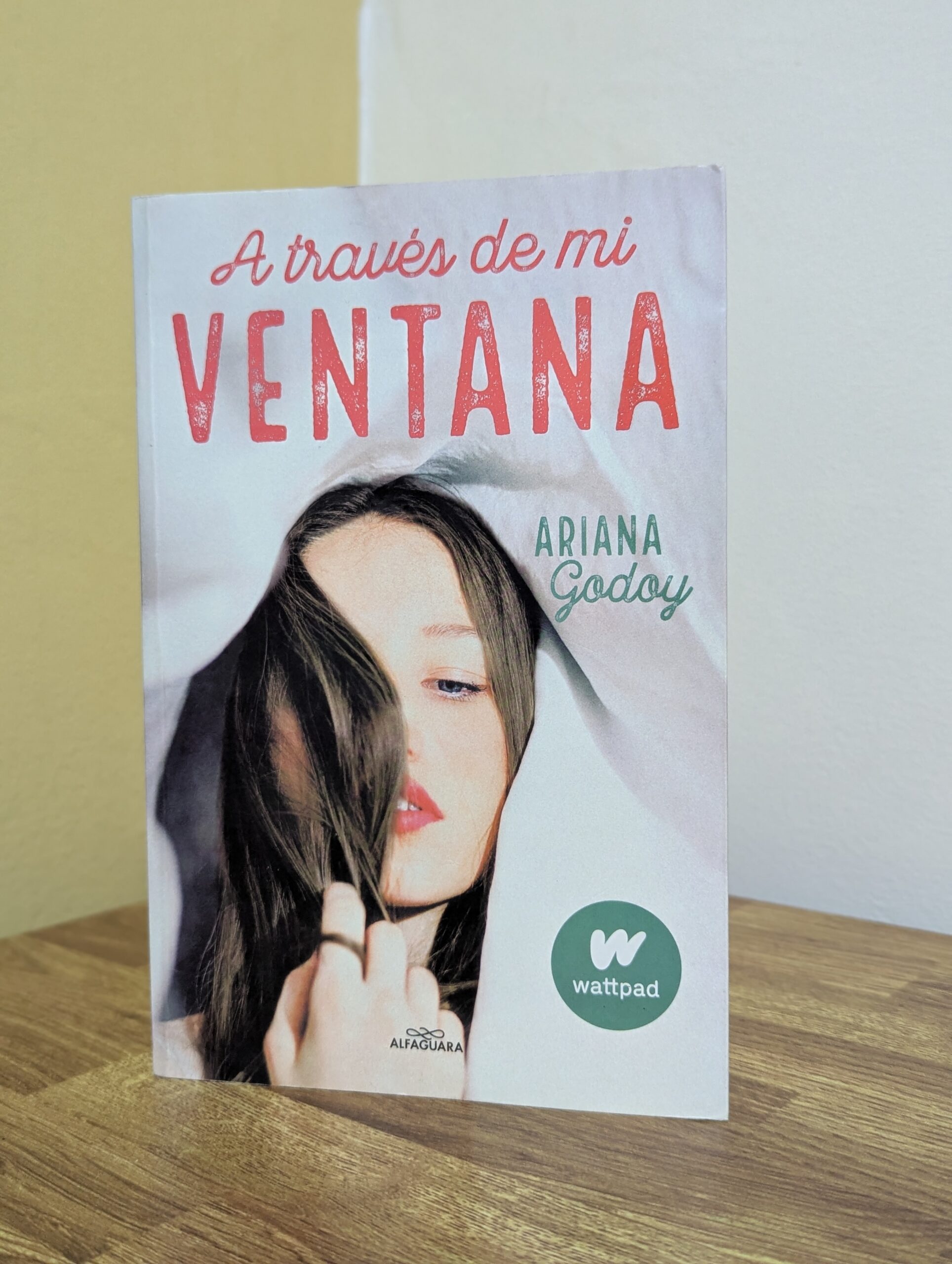 A través de mi ventana