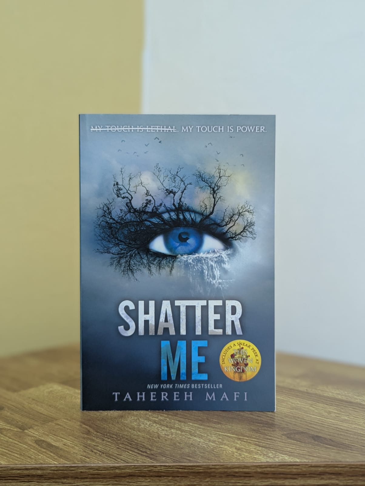 Shatter Me